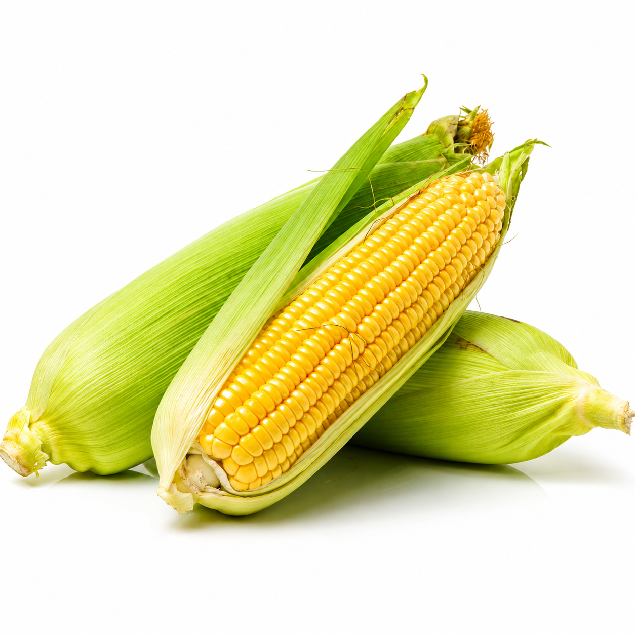 Corn ~ Maize