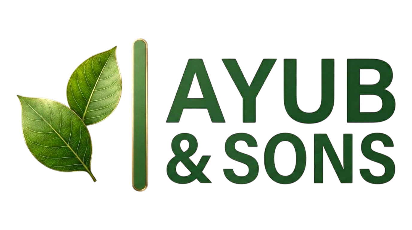 Web Logo